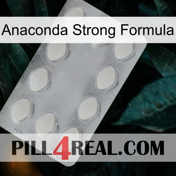 Anaconda Strong Formula 16.jpg